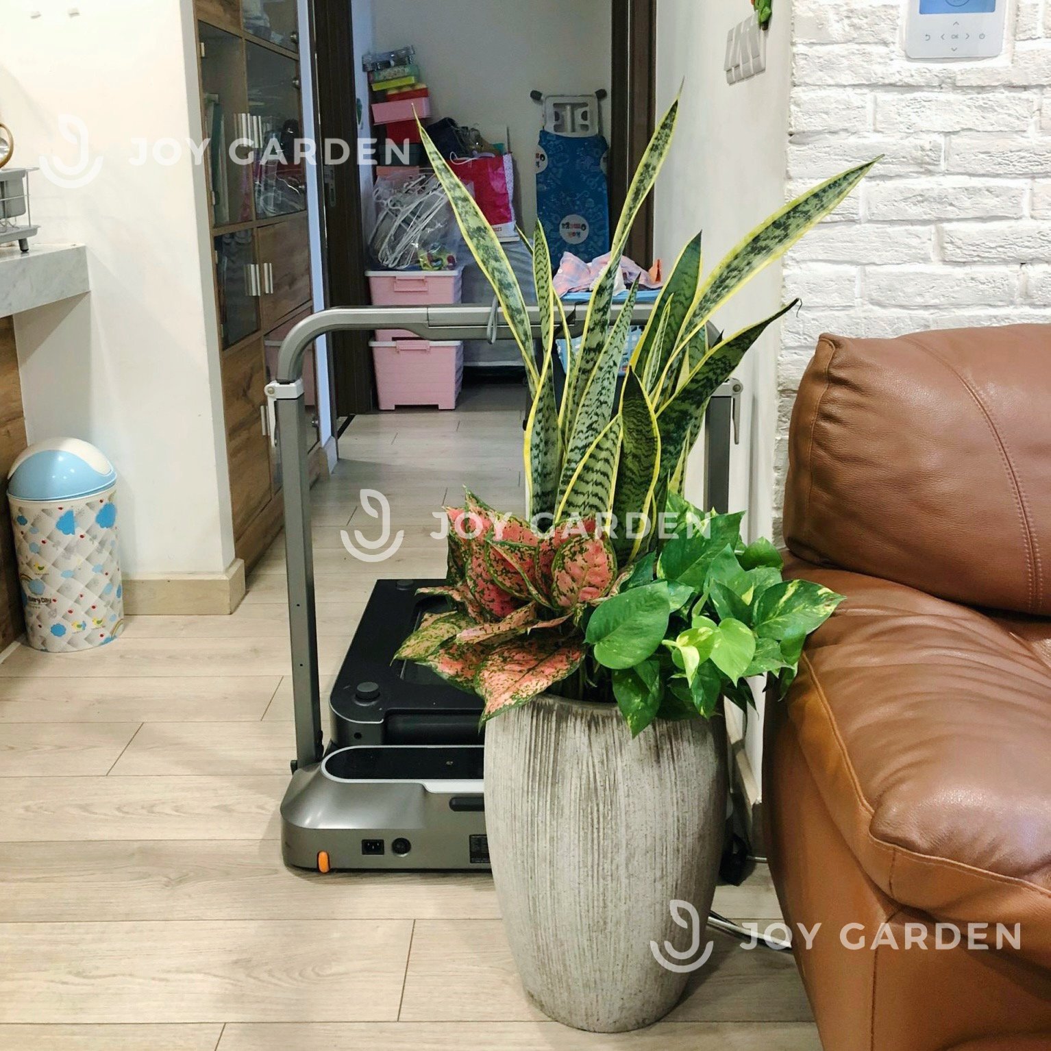 Set lọc không khí [Chậu xám nhỏ] 2