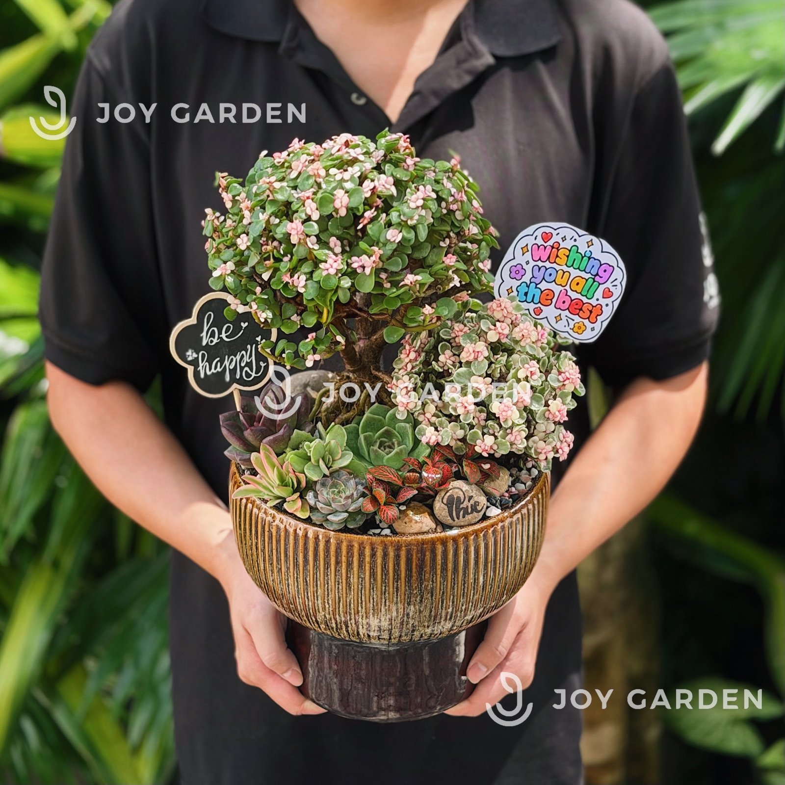 Tiểu cảnh Sakura Bắc Âu 3