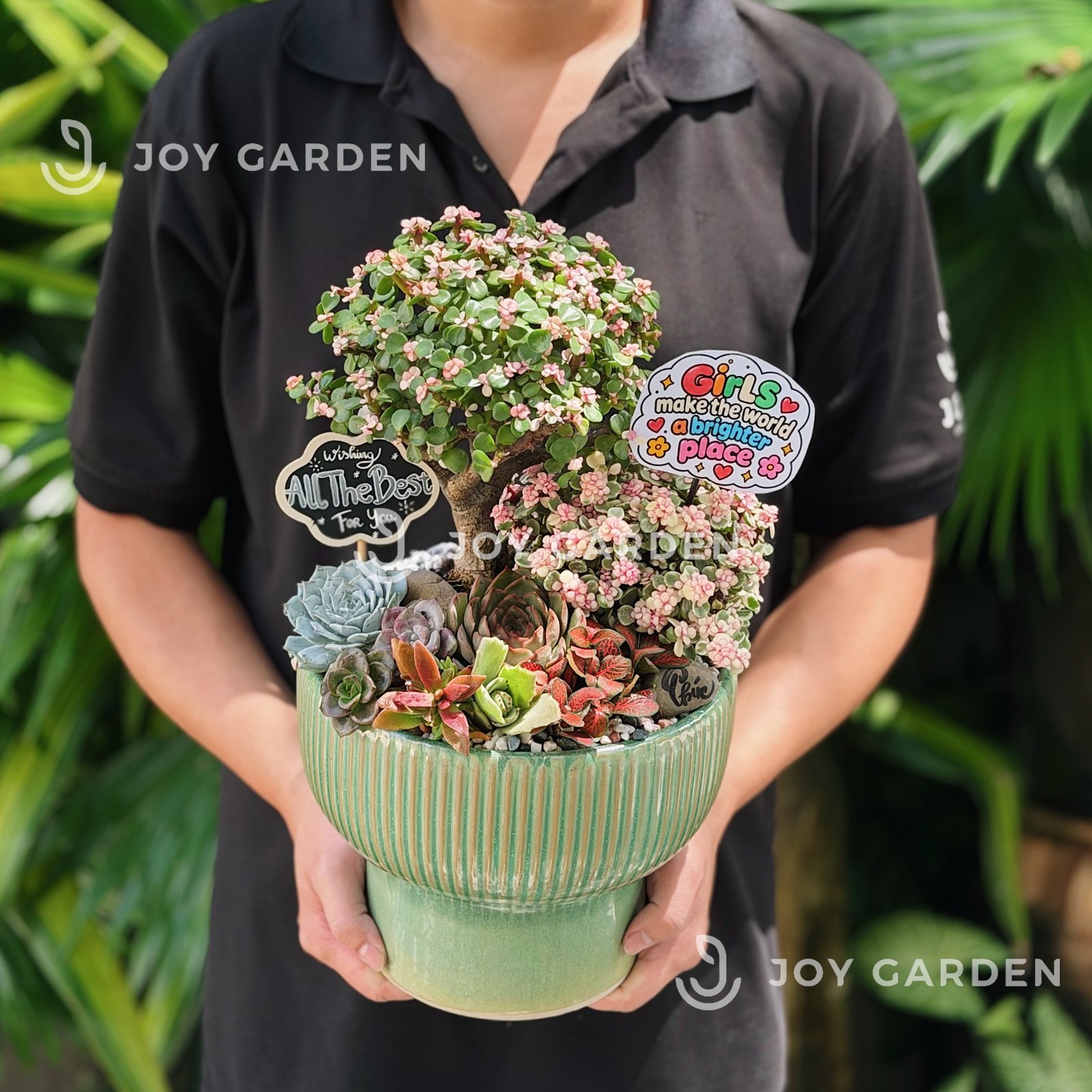 Tiểu cảnh Sakura Bắc Âu 2