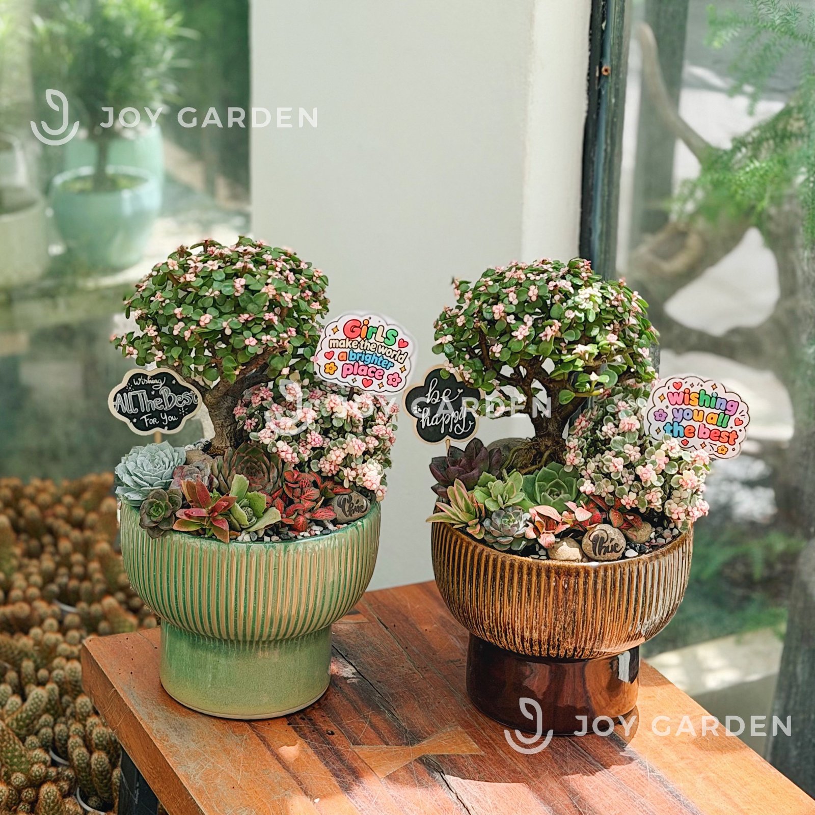 Tiểu cảnh Sakura Bắc Âu