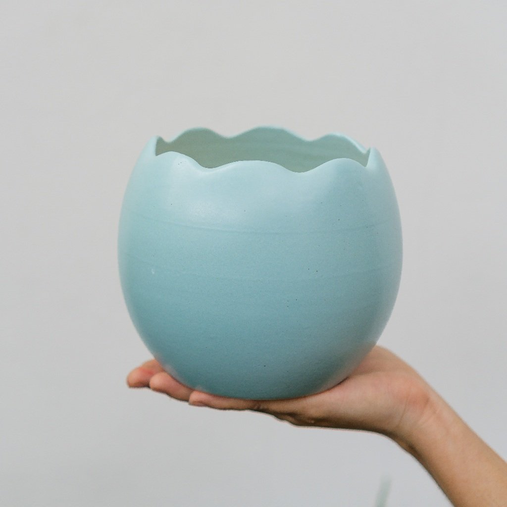 Chậu Trứng Rồng 3