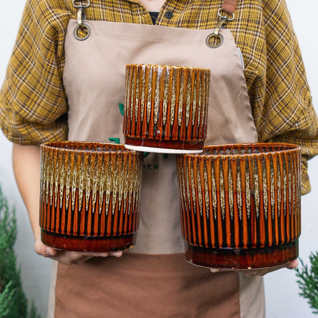 Chậu Trụ Kẻ Vintage 2