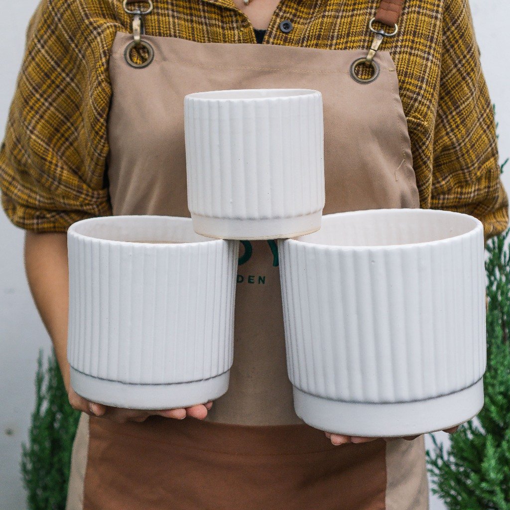 Chậu Trụ Kẻ Pastel 3