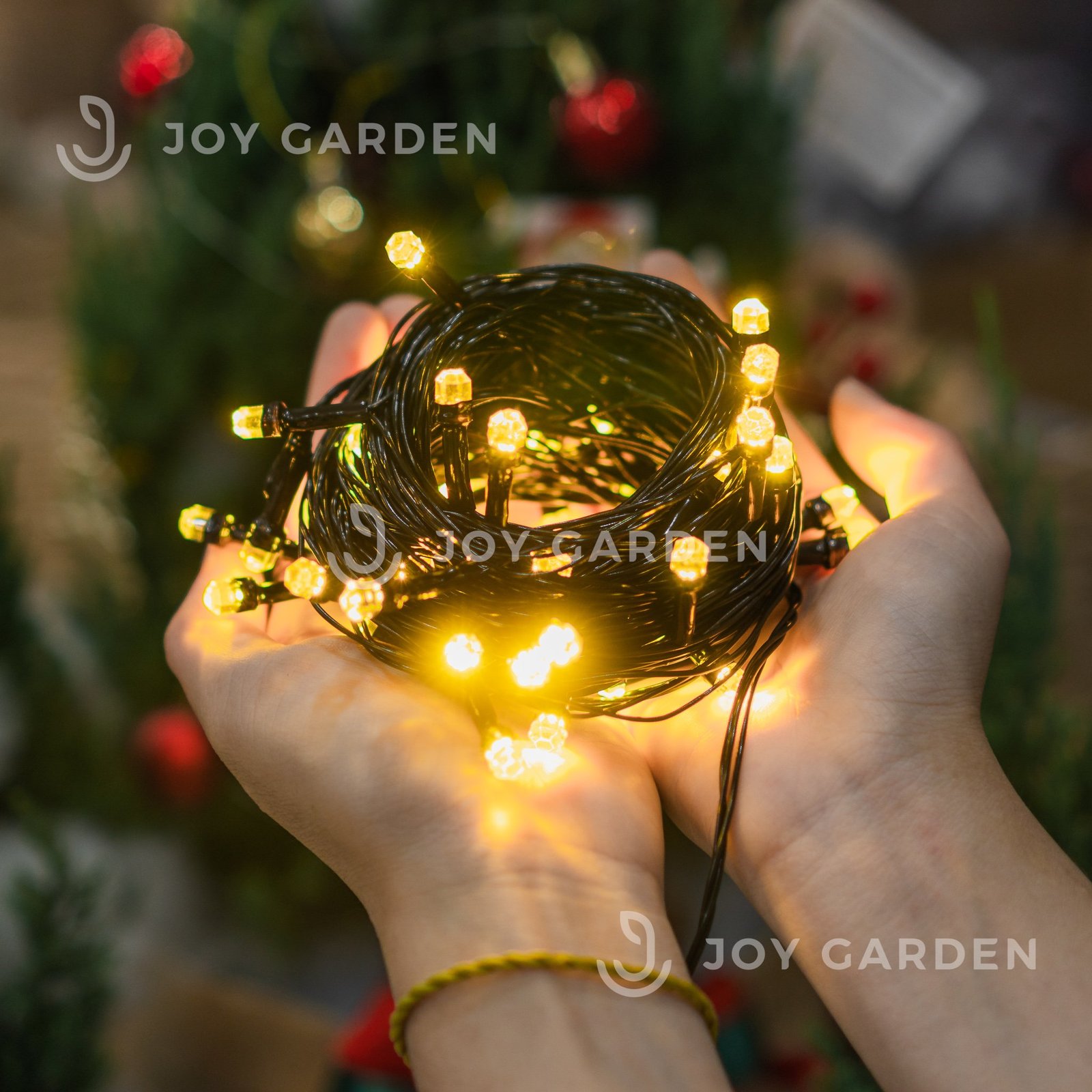 Dây đèn Đom Đóm 50m [50m Firefly Lights]