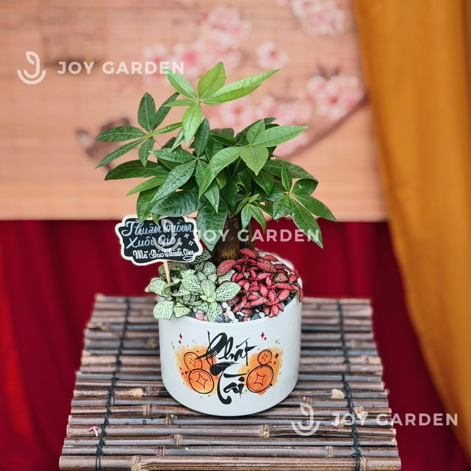 Kim ngân Phát Tài [Chậu T15]