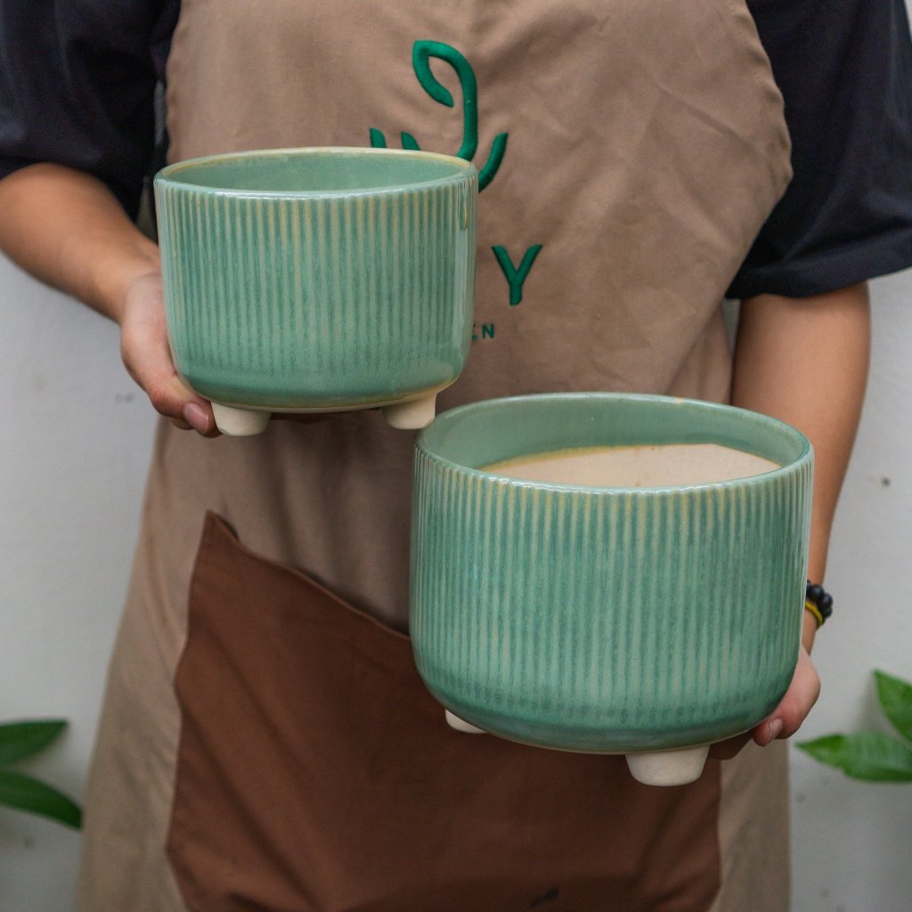 Chậu chân tăm hỏa biến 3