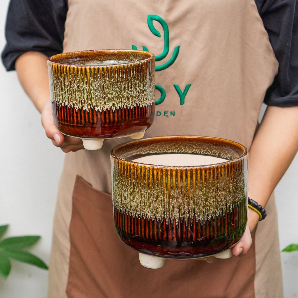 Chậu chân tăm hỏa biến 2