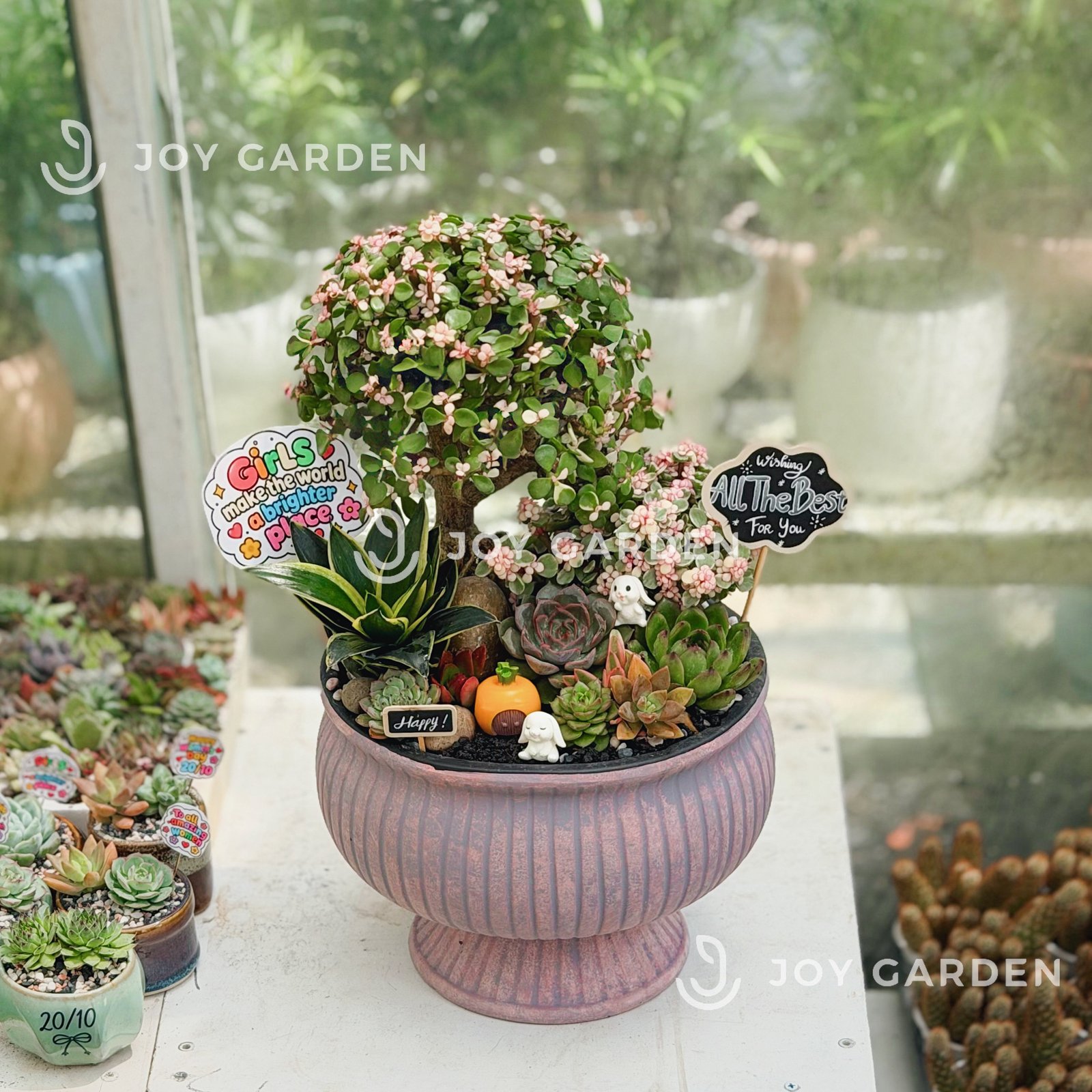 Tiểu cảnh Sakura Belle 2