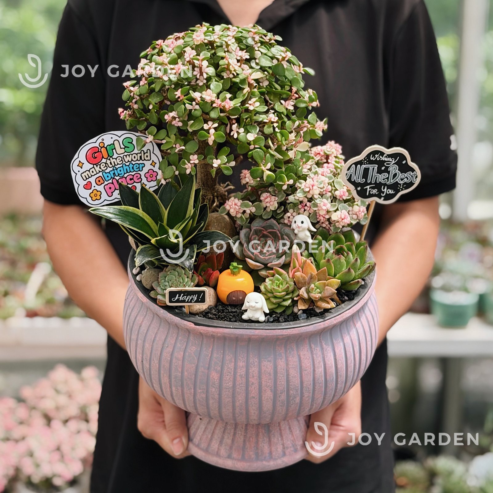 Tiểu cảnh Sakura Belle 3