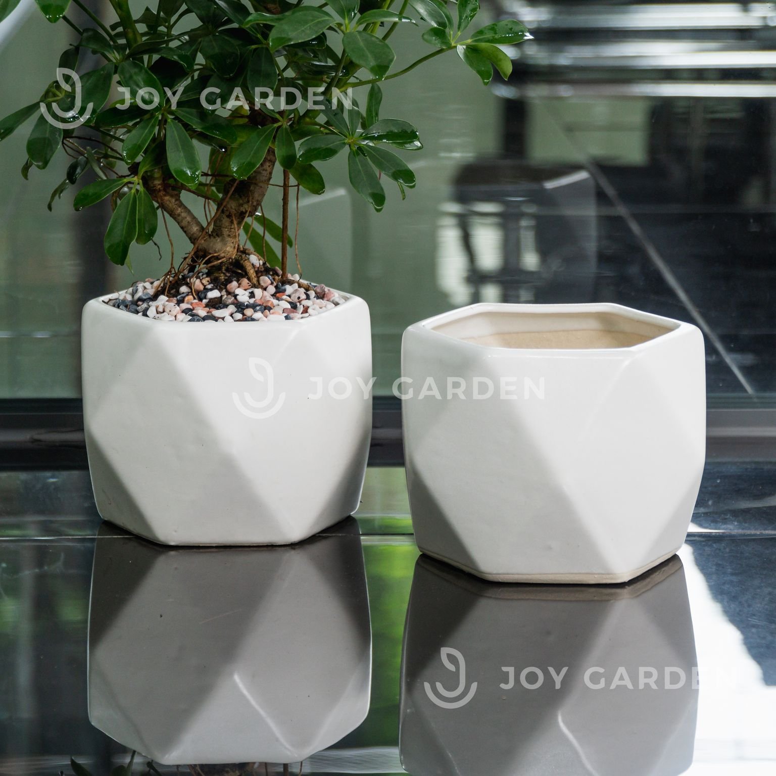 Chậu Đa Giác (D15H15) 2