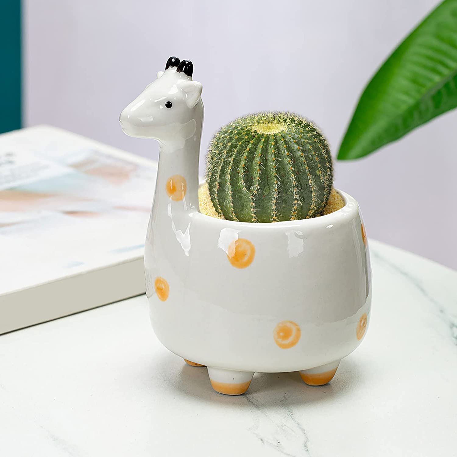 Chậu Thú Mini [Animal Succulent Planters] 2