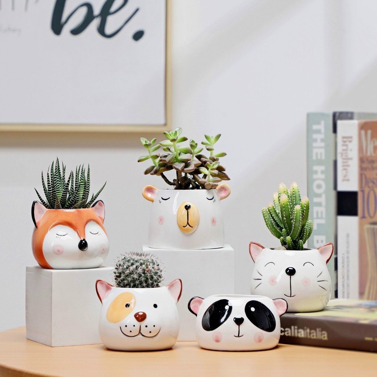 Chậu Thú Mini [Animal Succulent Planters] 3
