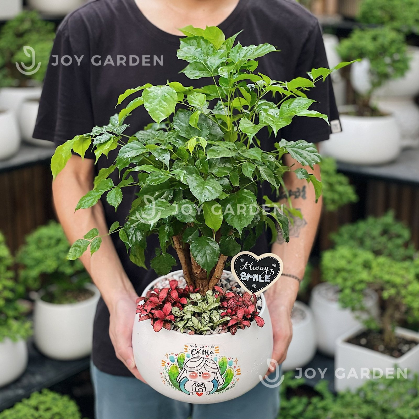 Hạnh phúc Nhà là nơi có mẹ [Chậu D18]