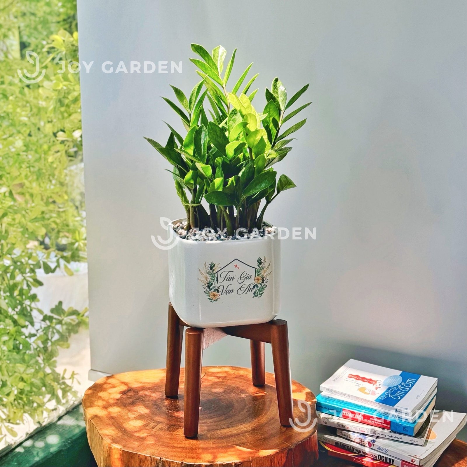 Đôn gỗ [Wooden Plant Stand] (D25H19 Caramel) 3