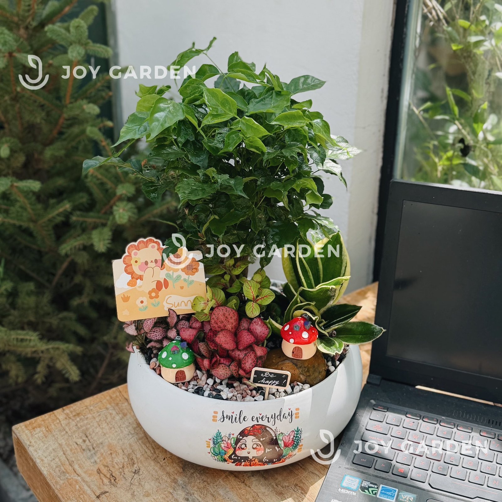 Tiểu Cảnh Ngôi Nhà Hạnh Phúc