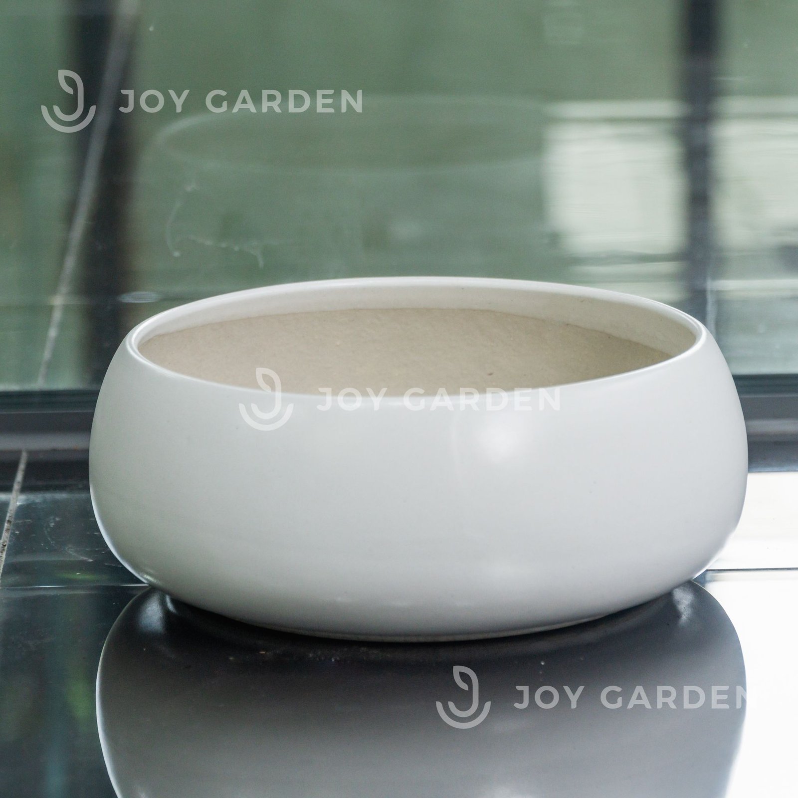 Chậu Hạt dẻ lùn (D28H12) 2