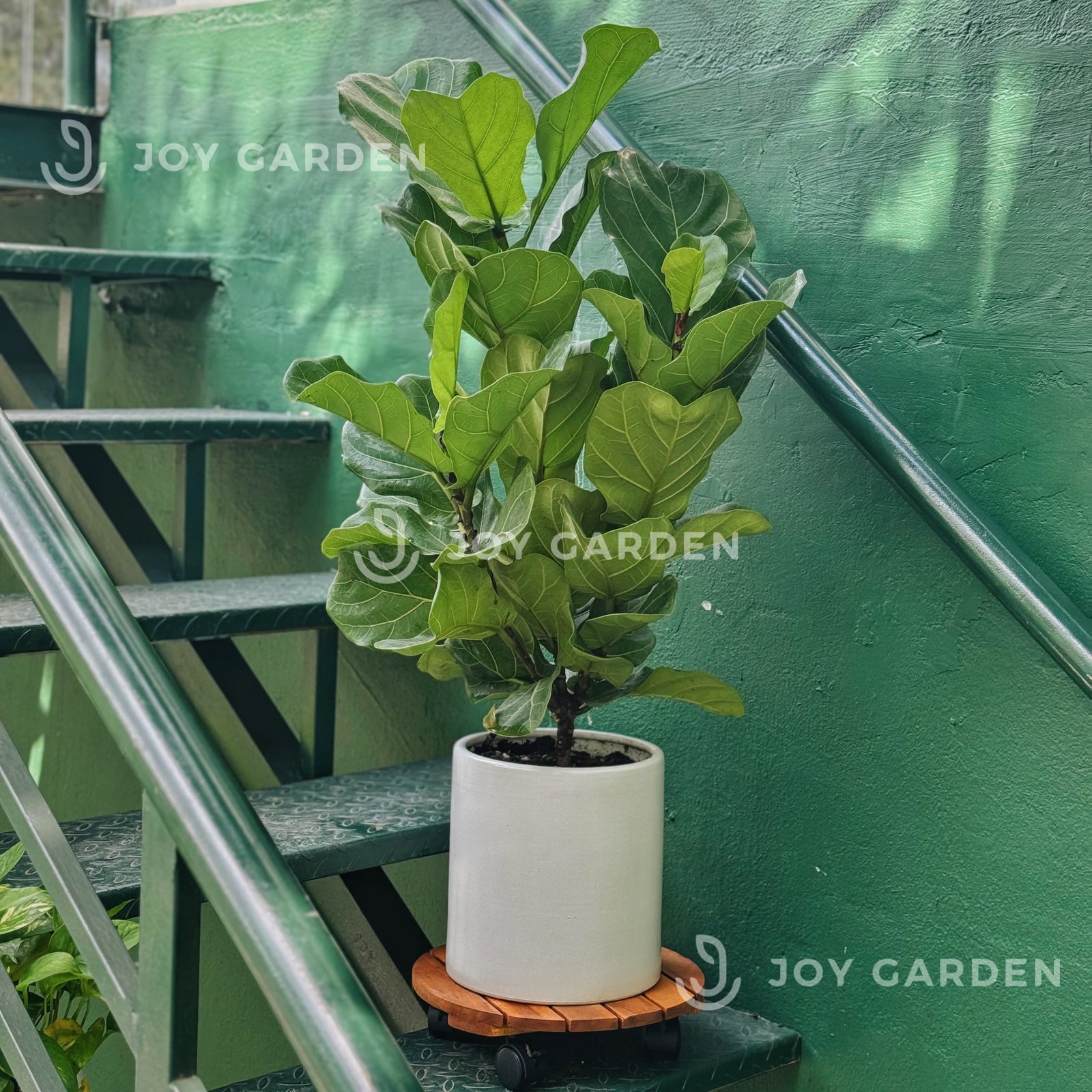 Đế gỗ bánh xe [Wooden Plant Stand with Wheels] 2