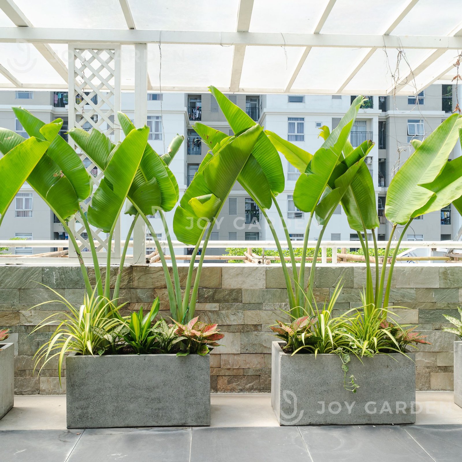 Chậu Ximang Chữ nhật [Rectangular Concrete Planter] (D80H40) 2