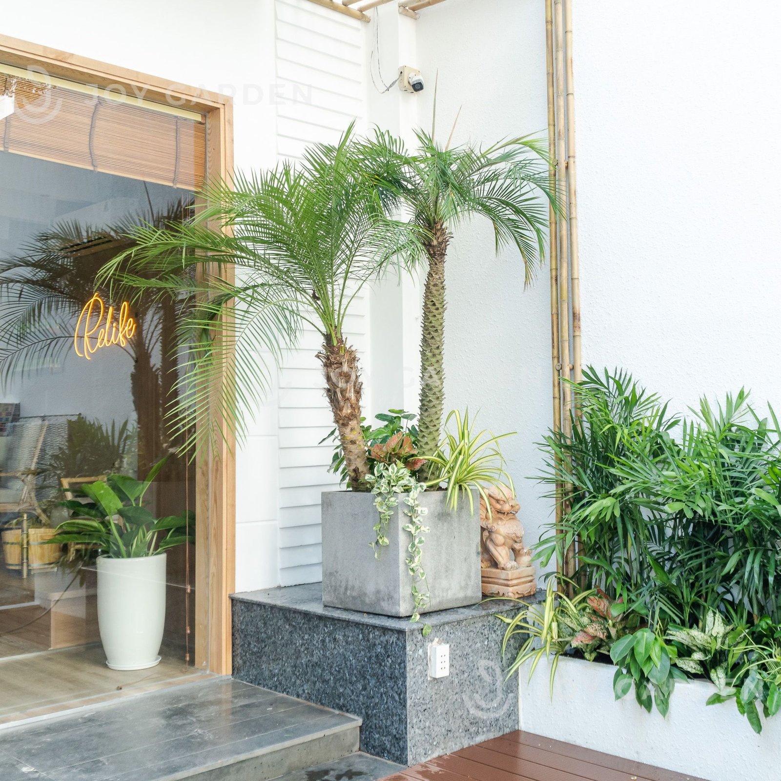 Chậu Ximang Vuông [Square Concrete Planter] (D50H50) 3