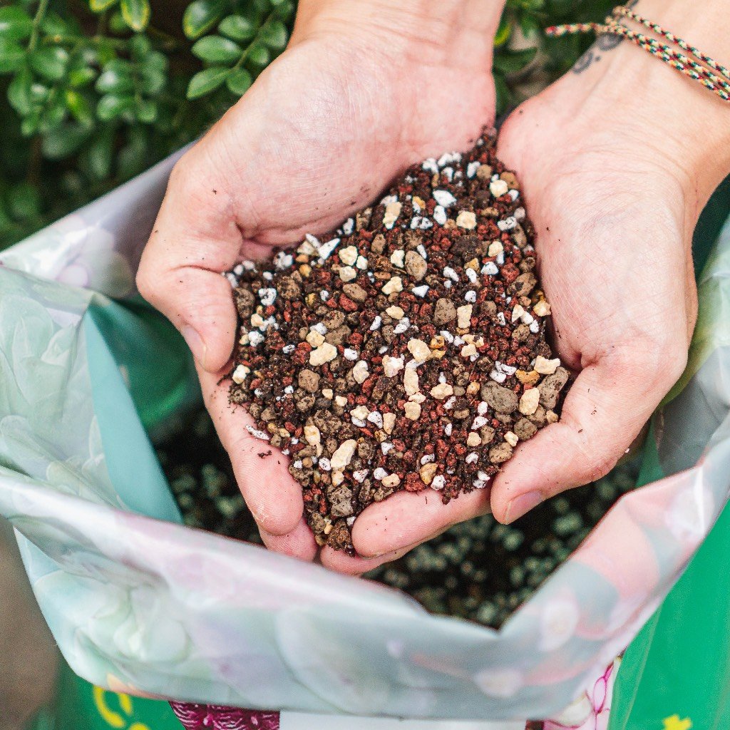 SOIL MIX (~6kg) - Đất trồng sen đá 85% đá khoáng 3