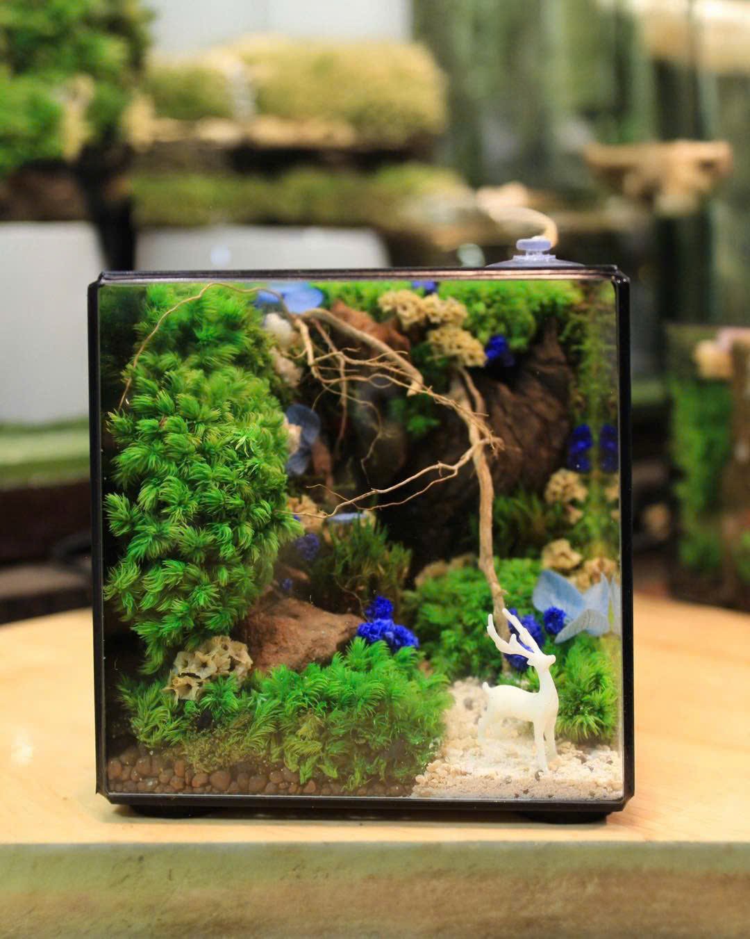 Hộp Thủy Tinh Cubic