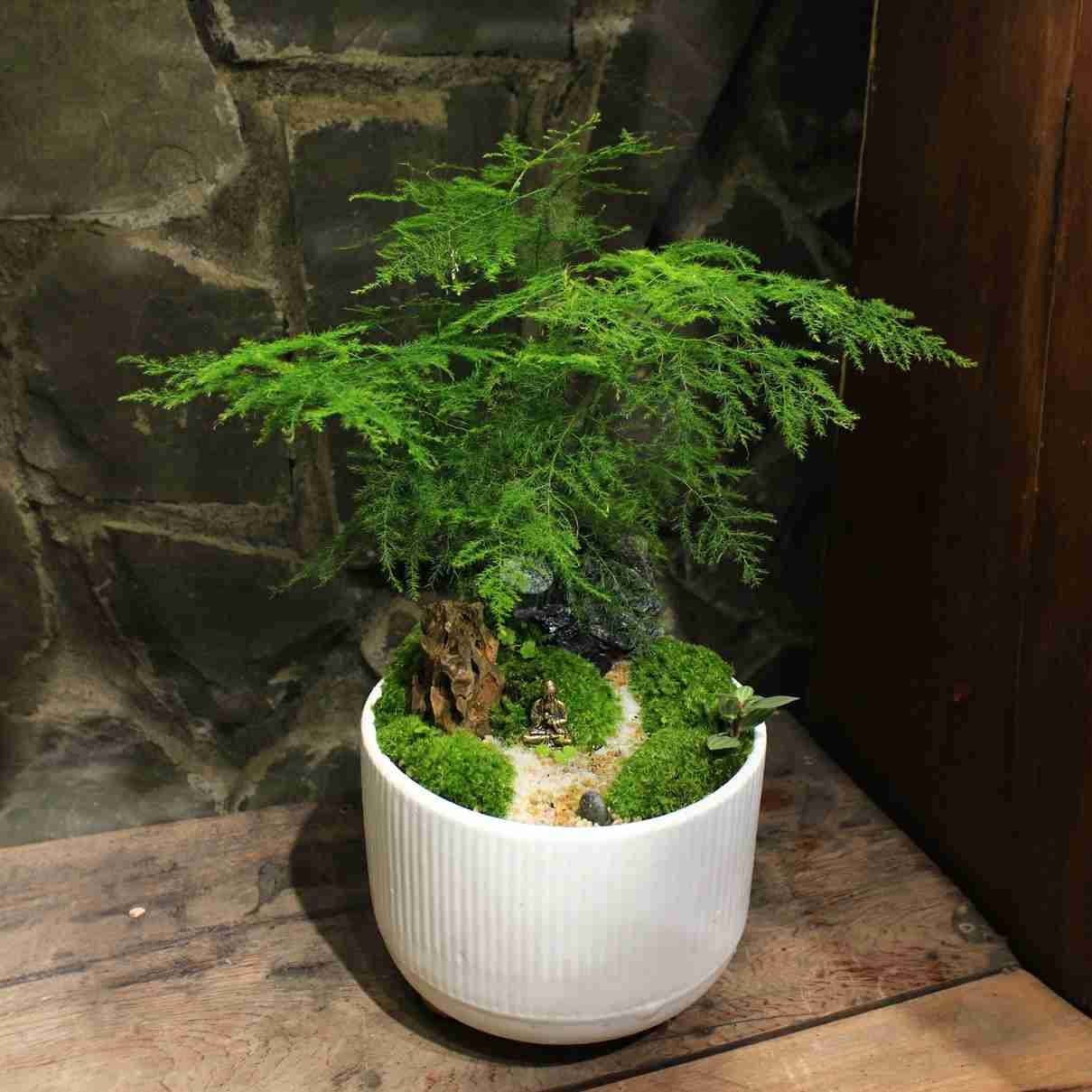 Bộ thiết kế Thủy tùng