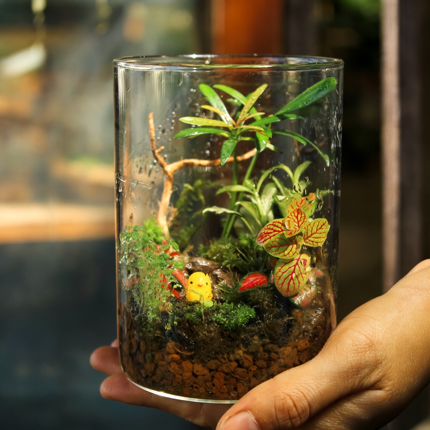 Trụ tròn mini
