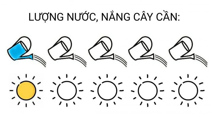 Móng rồng 2 2