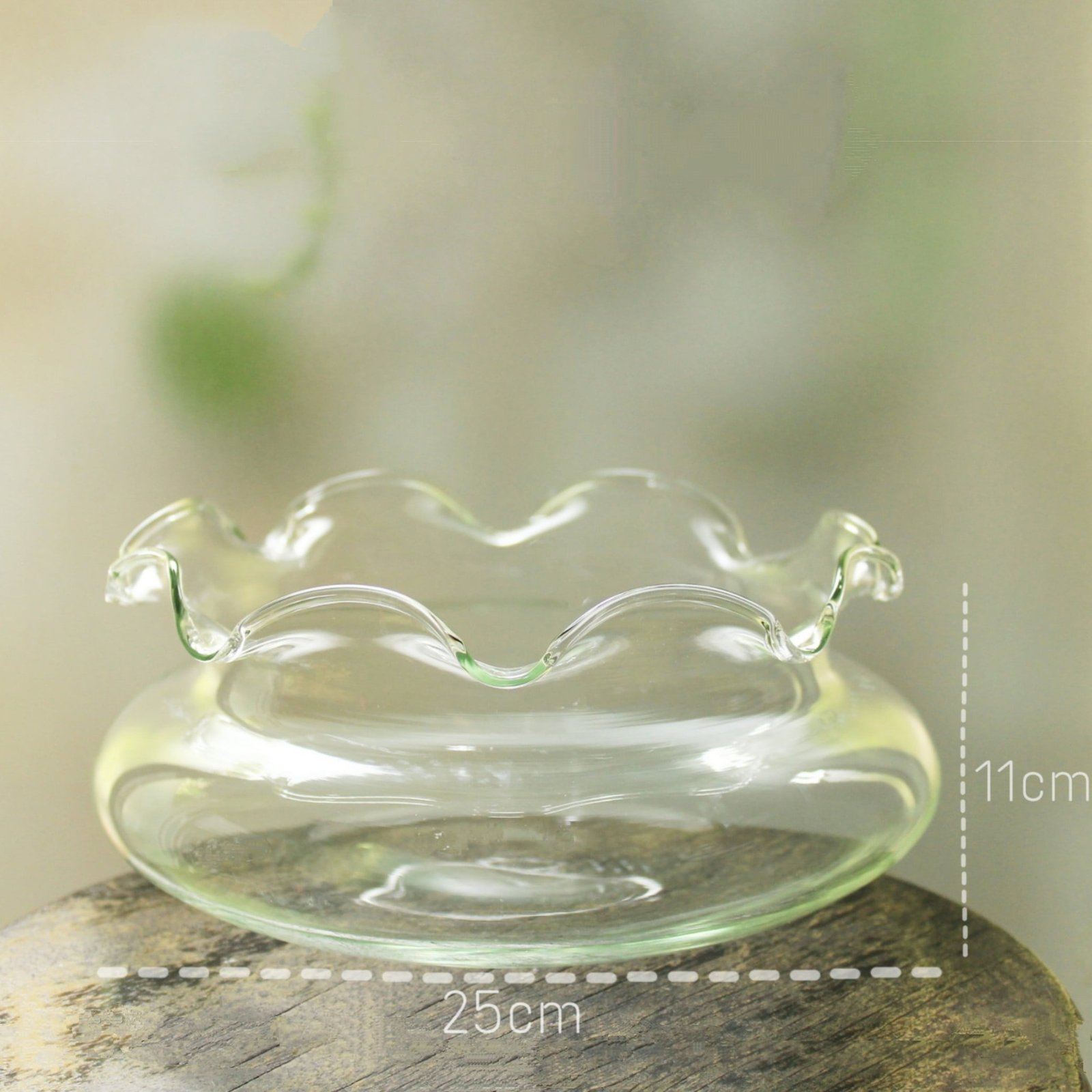Thủy tinh bèo nhún