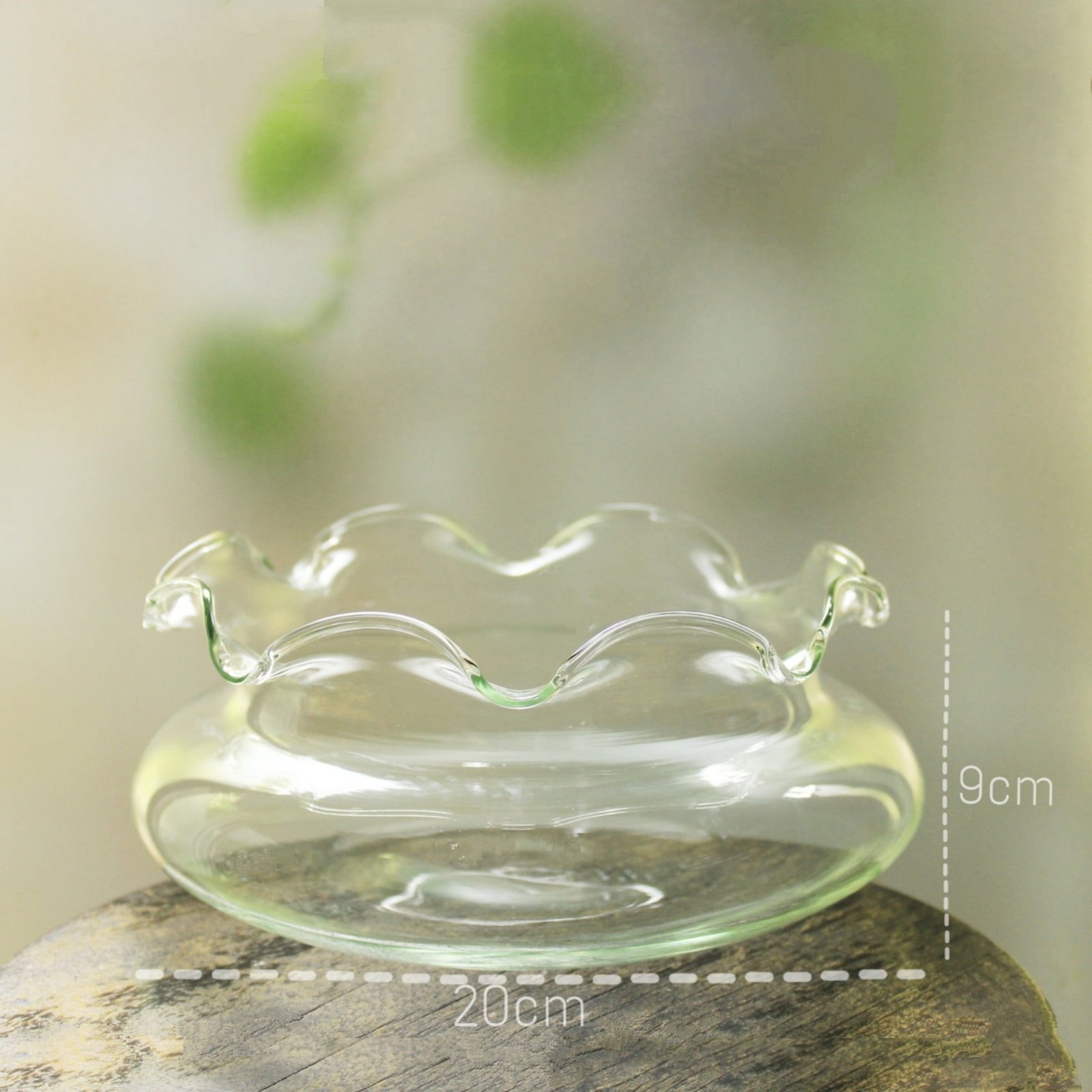 Thủy tinh bèo nhún