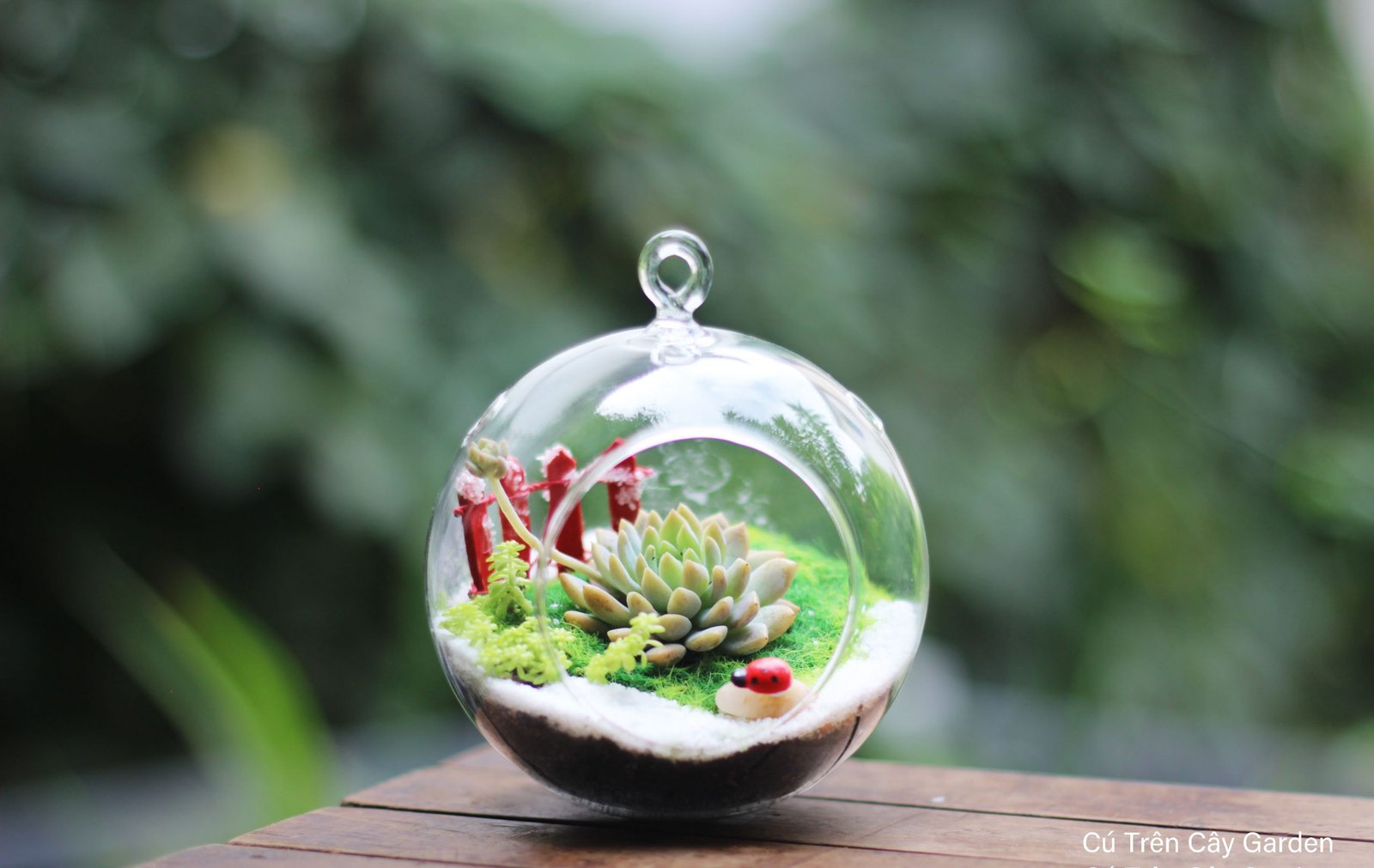 Tròn Treo Nhỏ