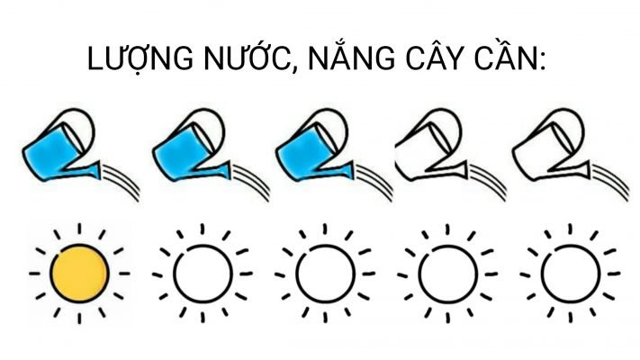 Ngọc ngân 1 2