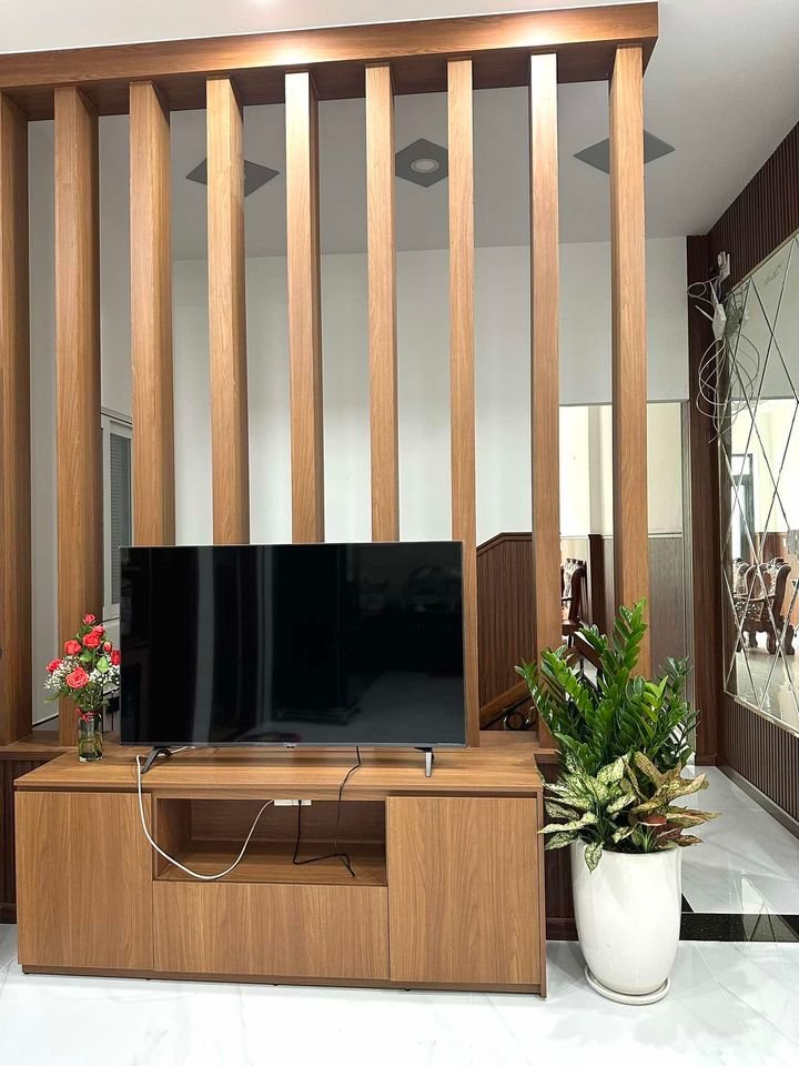 Cây kim tiền phối vạn lộc ngọc ngân để sàn 2