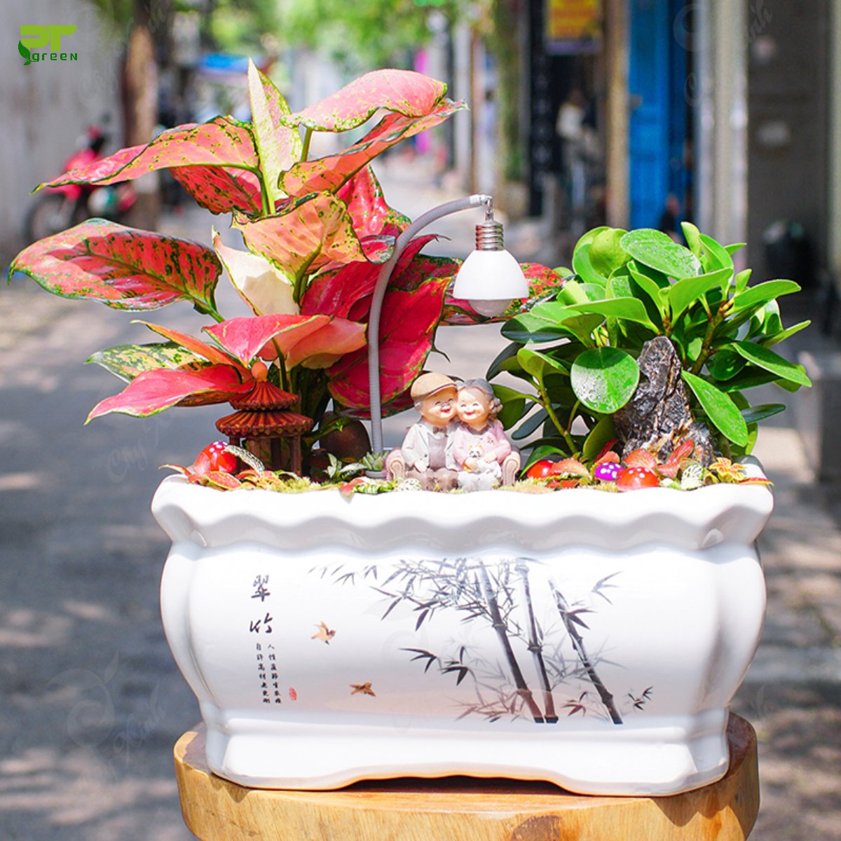 Tiểu cảnh ông bà