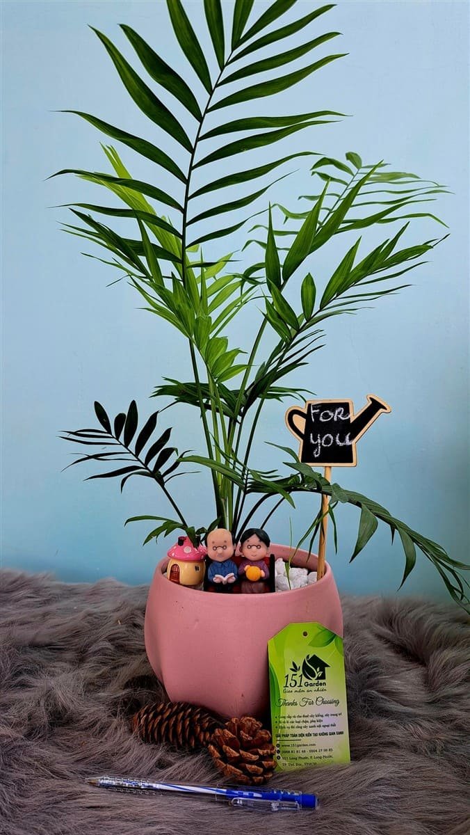 Cau tiểu trâm phối phụ kiện ông bà già