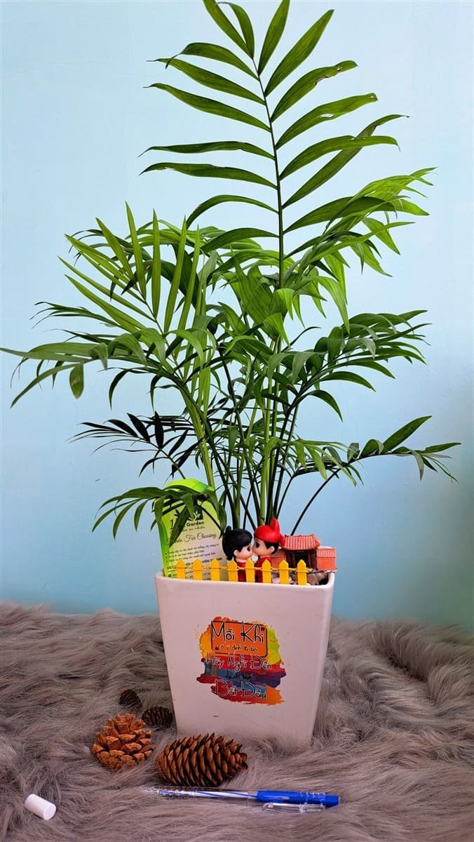 Cau tiểu trâm mix phụ kiện cặp đôi