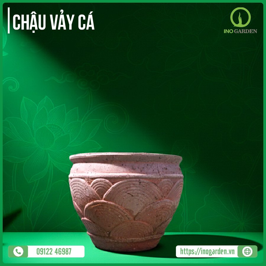 CHẬU VẢY CÁ