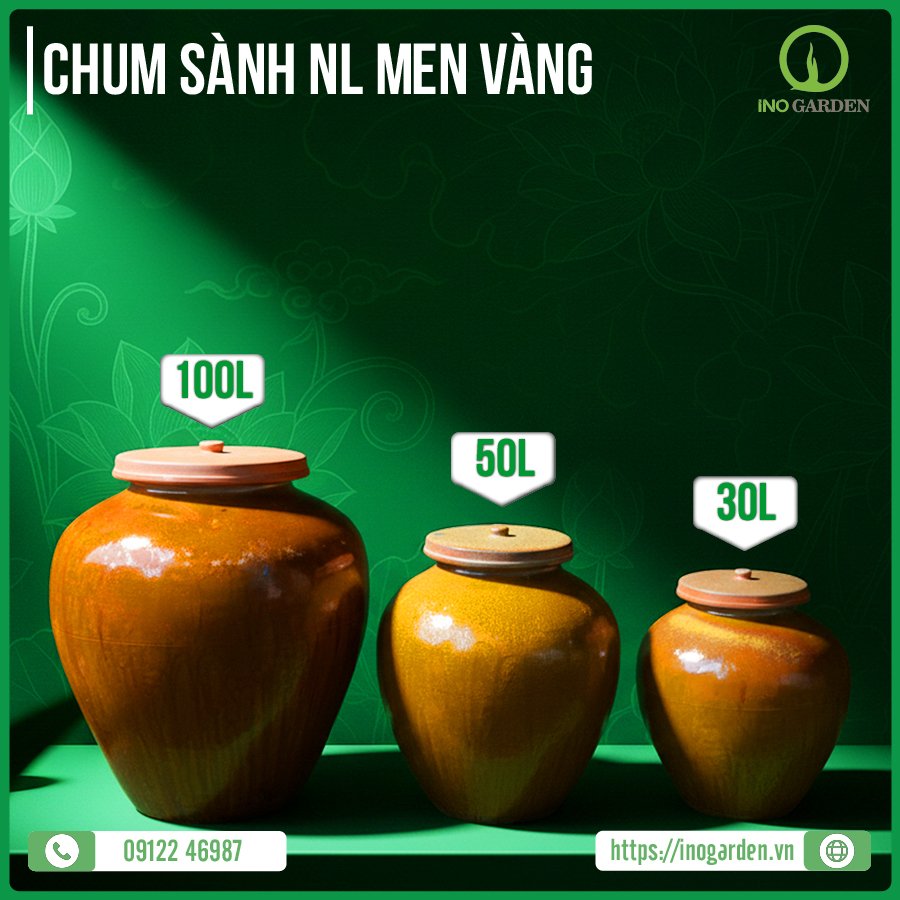 CHUM SÀNH NL MEN VÀNG