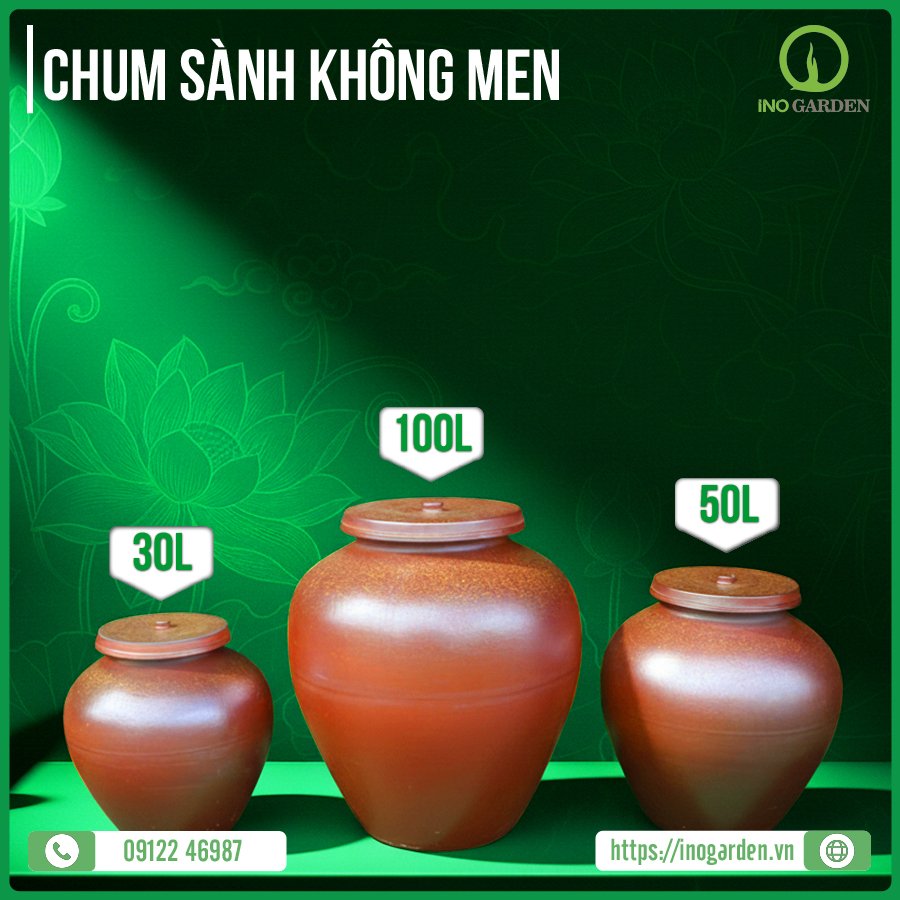 CHUM NGÂM RƯỢU NL