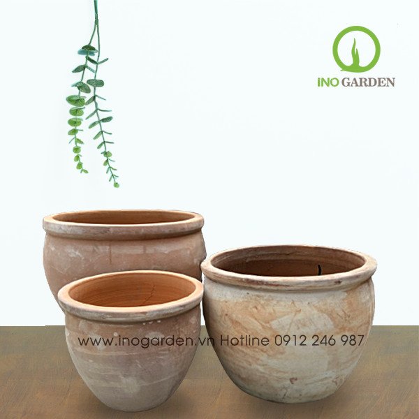 Combo chậu bầu cà na