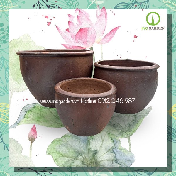 Combo chậu trồng sen bầu vành miệng 2