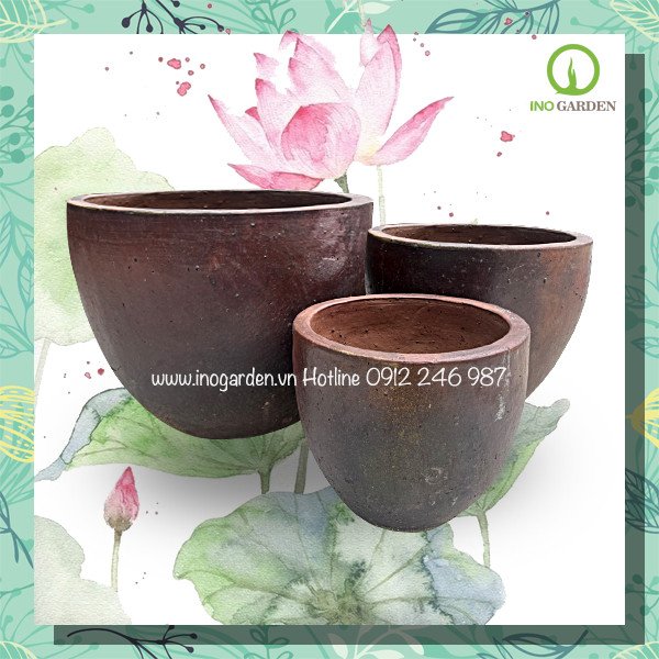 Combo chậu trồng sen dáng bầu trơn