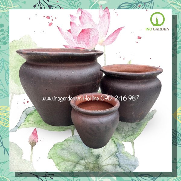 Combo chậu trồng cây dáng miệng loe cao 2