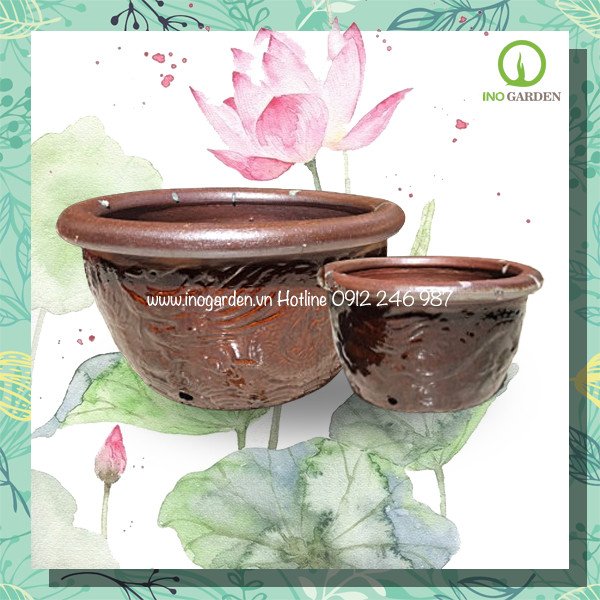 Combo chậu sành 2