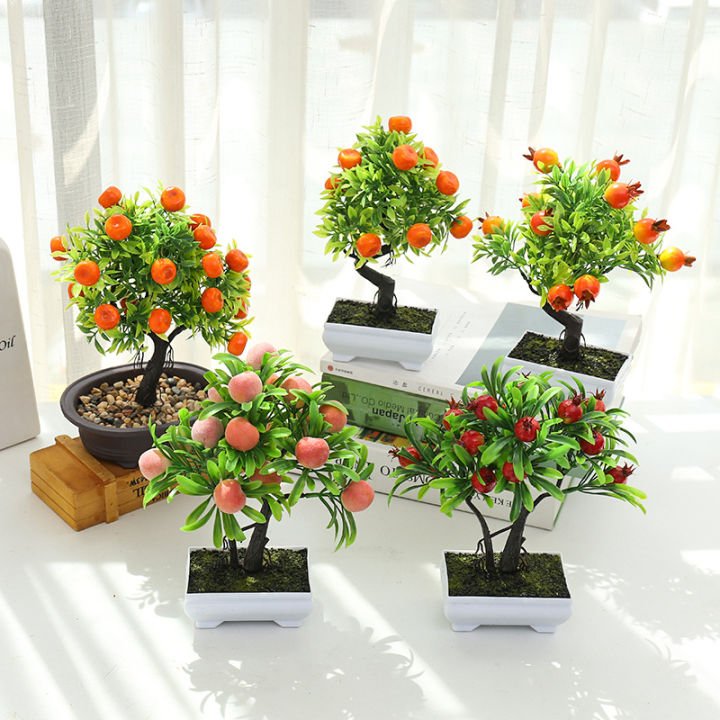 Cây Ớt Bonsai Tạo Không Gian Sống Xanh Mới Lạ Độc Đáo
