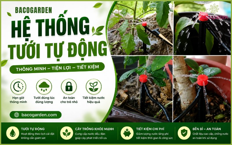 Hệ Thống Tưới Nước Tự Động Cho Ban Công, Sân Vườn | Bacogarden
