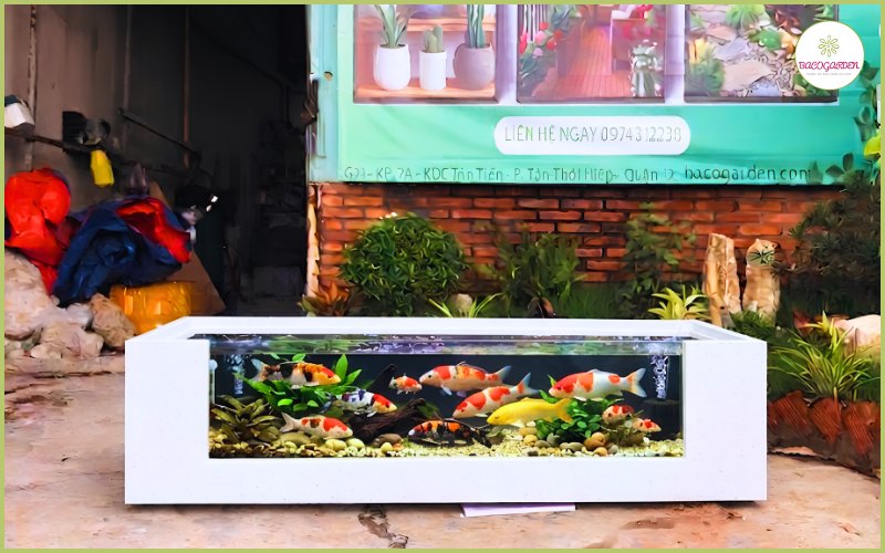 Hồ Cá Composite Dáng Thẳng Chữ Nhật Ngang – HCCDTCNN02 2