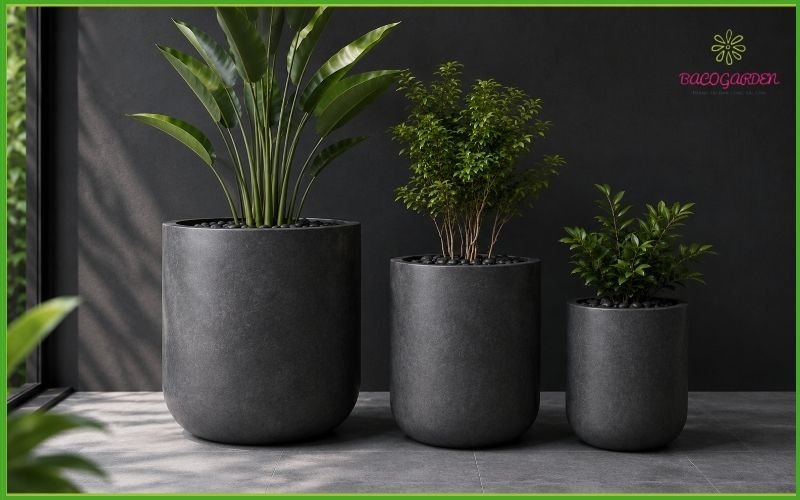 Chậu Composite Như Ý 2026 – Mẫu Chậu Decor Sang Trọng Cao Cấp