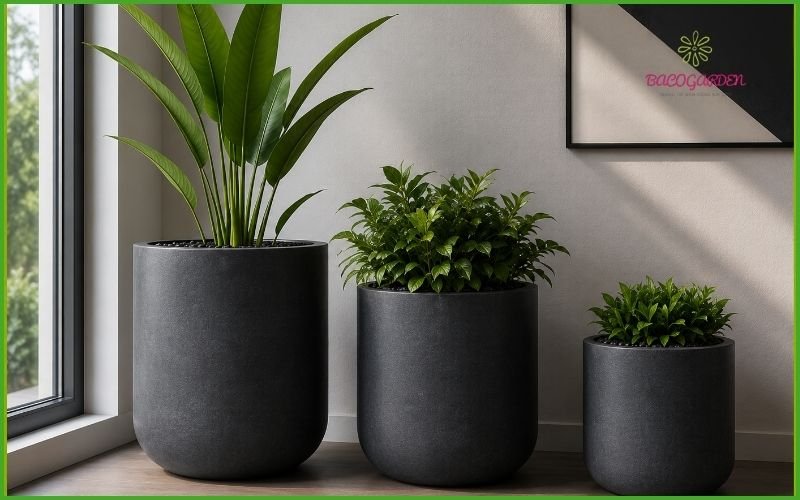 Chậu Composite Như Ý 2026 – Mẫu Chậu Decor Sang Trọng Cao Cấp 2