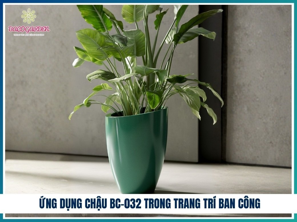 Chậu Composite Ngọc Bích BC-032 3